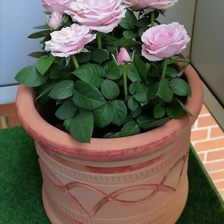 Relax - Messe Contactless Check In Appartement *