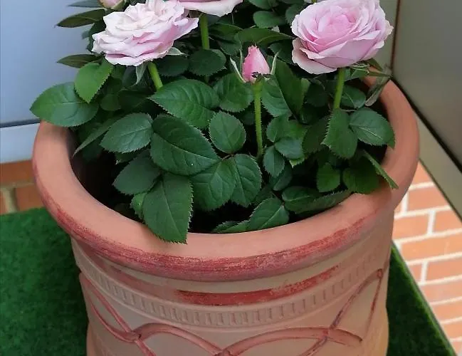 Relax - Messe Contactless Check In Apartman *